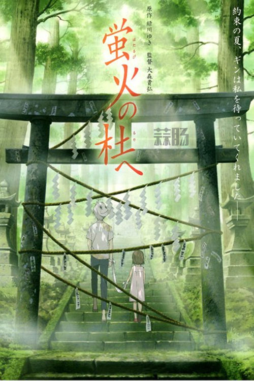 幸福的虐戀？《螢火之森》！
