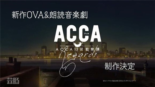 ACCA13區監察課.jpg