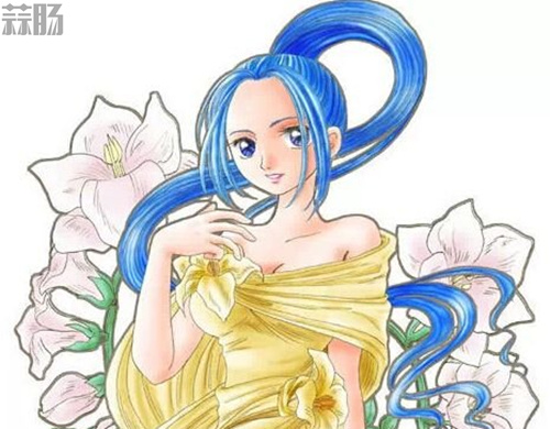  海賊王動畫中最美麗的女角色TOP10（上）
